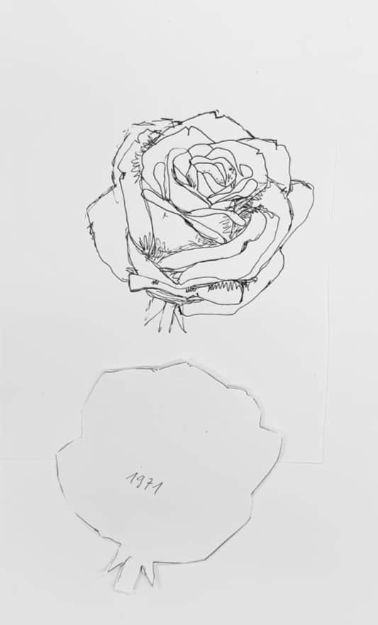 anna-aregger-individuelle-rosen